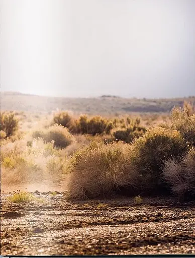 The Harley-Davidson Book - Refueled - фото 7