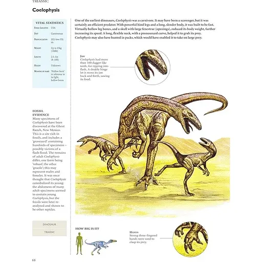 Encyclopedia of Dinosaurs - Меллинг Карл - фото 3