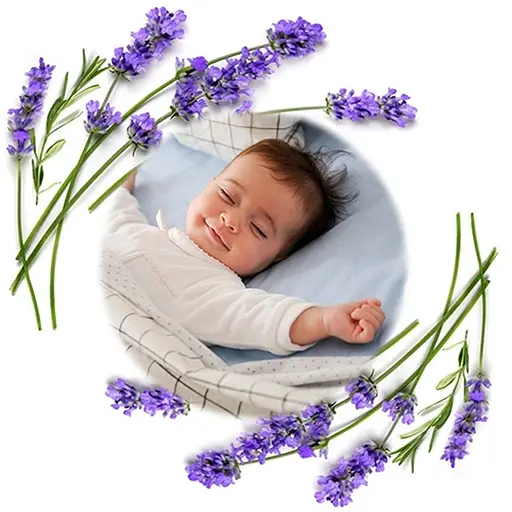 Грілка BabyOno з кісточок вишні та ароматом лаванди 13х16 см бежева (796/05) - фото 5