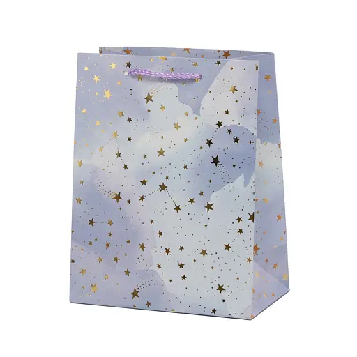 Подарочный пакет 18*23*10 М, 3153