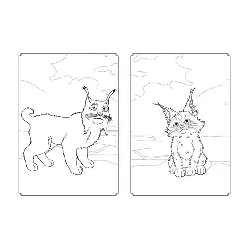 Раскраска Магия цвета. Магический Лес Ранок 1807003 с наклейками - фото 2