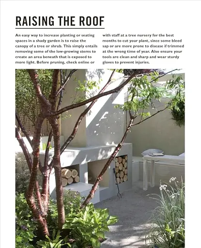 Grow Shade Garden. Essential Know-how and Expert Advice for Gardening Success - фото 6