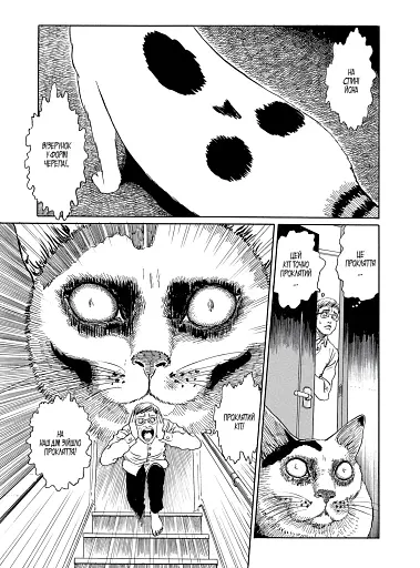 Котячий щоденник Джюнджі Іто: Йон та Му - фото 2