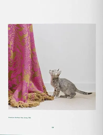 Walter Chandoha. Cats. Photographs 1942-2018 - фото 6