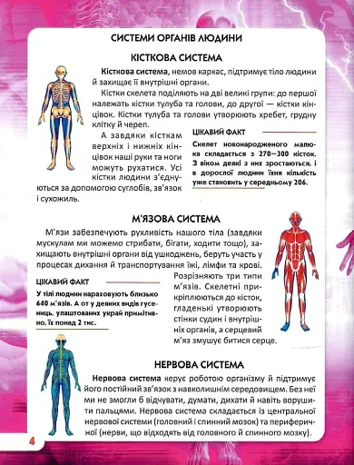Світ навколо нас. Тіло людини - фото 8