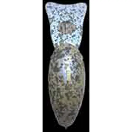 Воблер Smith Sibo-Cra DR-F 34mm 3.2g #03 Drab Yellow - фото 3