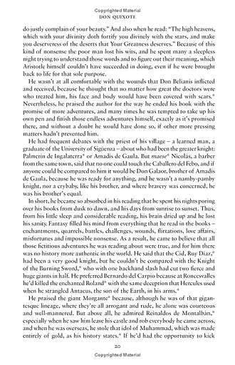 Don Quixote - фото 4