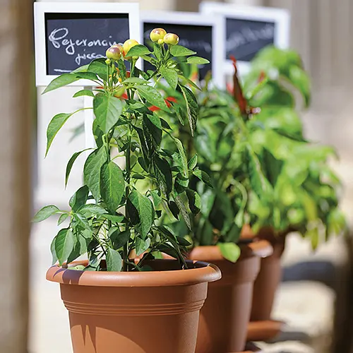 Вазон пластиковий Linea Mediterraneo, 45 см круглий, 30л теракот (82450) - фото 3