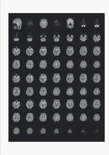 Heji Shin. THE BIG NUDES - фото 3