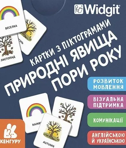 Картки з піктограмами. Природні явища. Пори року