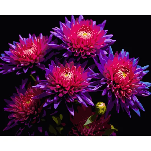 Картина по номерам Strateg Астры на черном фоне 50 х 40 см (AH1298) - фото 1