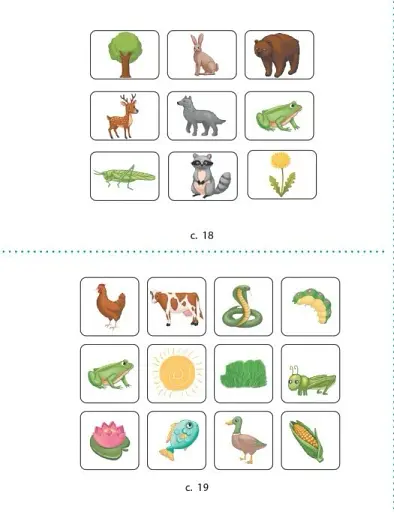 STEM-Старт. Зошит для учня. Наука про життя. 2 клас - фото 13