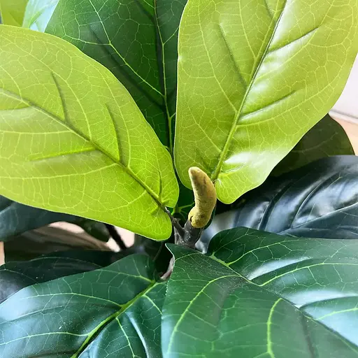 Искусственное растение Engard Fiddle 90 см (TW-01) - фото 7