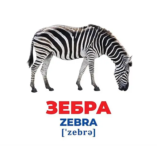 Набор развивающих карточек Гений с пеленок "Животные разных широт" 10107200, 17 карточек - фото 3