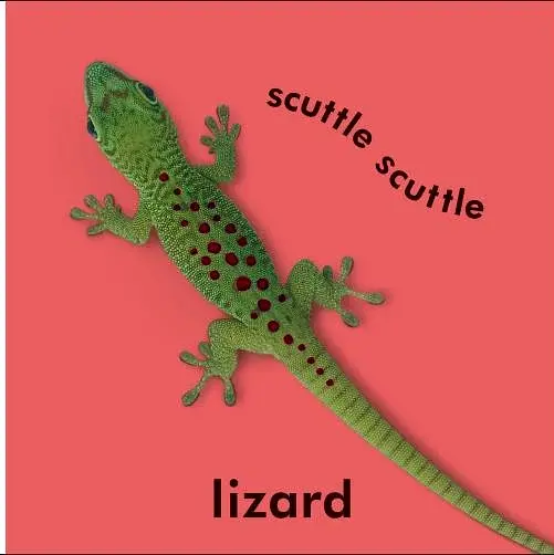 Baby Touch and Feel. Wild Animals - фото 5