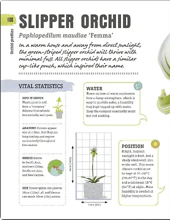 Happy Orchid - фото 5