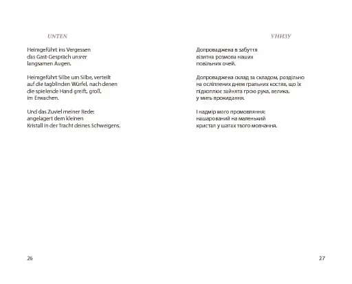 Мовні ґрати - фото 17