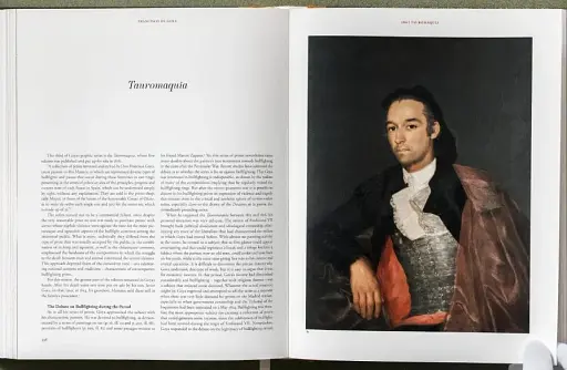 Goya. The Complete Prints - фото 21