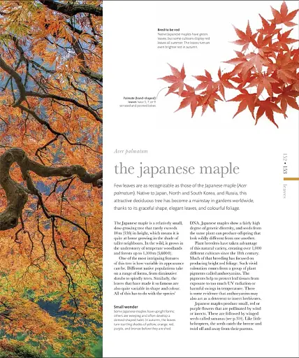 The Science of Plants - фото 12