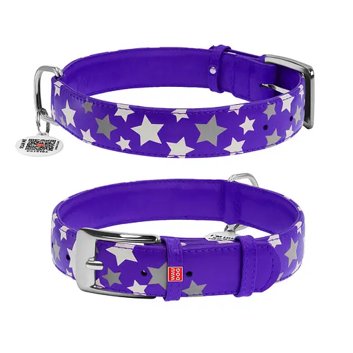 Нашийник для собак шкіряний Waudog Glamour з QR-паспортом візерунок "Зірочка" світлонакопичувальний/світловідбивний XL Ш 35
