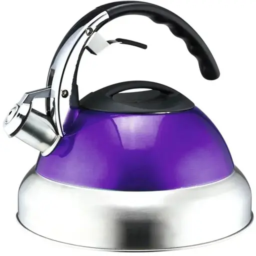 Чайник зі свистком фіолетовий NS10KET