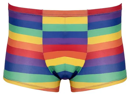 Чоловічі труси Svenjoyment Rainbow L (мульті) - фото 9