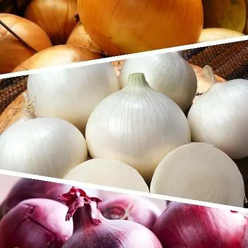 Цибуля "Суміш кращих популярних сортів" ТМ "Весна"  5г (45533) - фото 1