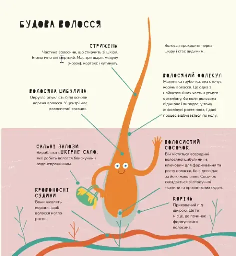 Книжка про волосся - фото 4