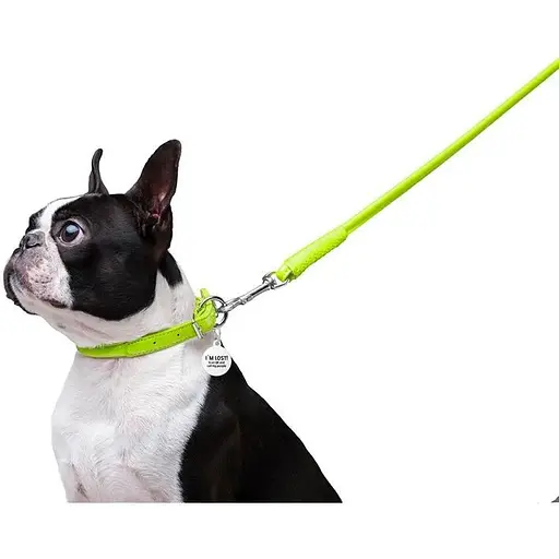 Повідець для собак Waudog Glamour шкіряний круглий, салатовий - фото 6