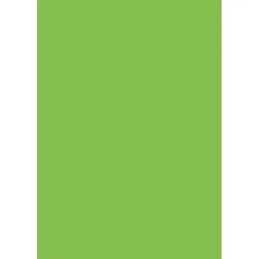 Бумага для дизайна Folia Tintedpaper В2 (50x70см) №51 светло-зеленая 130г/м без текстуры