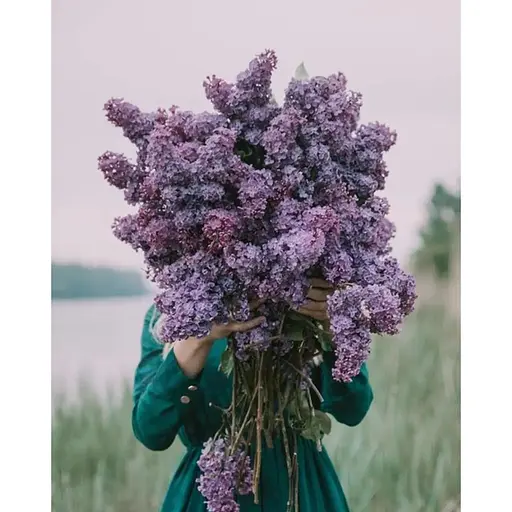 Аромаспрей Collines de Provence блакитний бузок 100 мл - фото 2