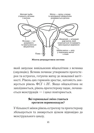 Бути жінкою. Усе про клімакс та менопаузу - фото 6