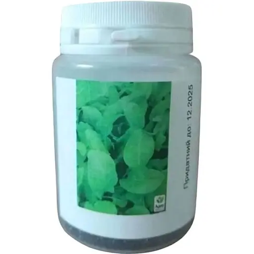 Щавель Весна Широколистий (у банці) Органік 5г (44925) - фото 1