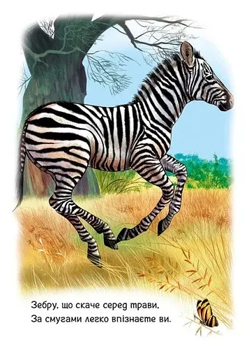 Малятам про звіряток. Тварини світу - фото 5