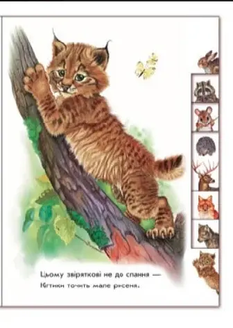 Малятам про звіряток. У лісі - фото 5