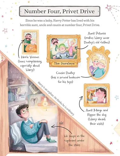 Pocket Potters: Harry Potter - Ролінґ Джоан - фото 2