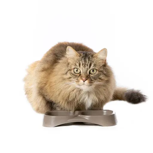 Миска для корма пластиковая двойная Doppia Small 21x11,5x3h, 0,3 л, коричневый - фото 2