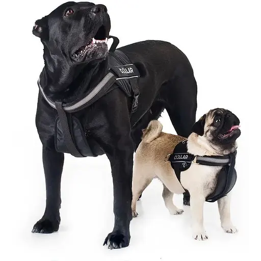 Шлея Dog Extreme "Police" №2 (В:40-60см), чорний - фото 3