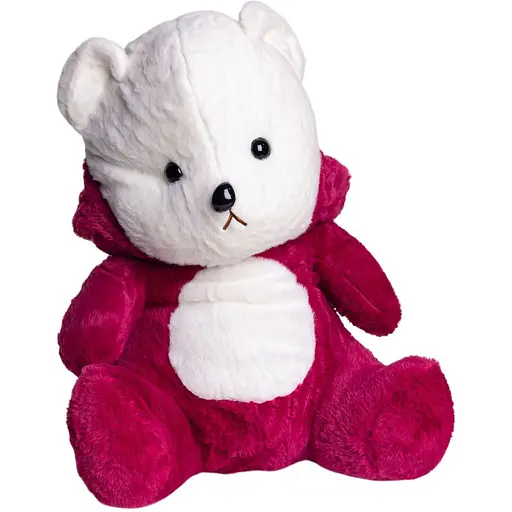 М'яка іграшка Ведмедик Тедді в костюмі Лотсо з пледом 100х180 см ТМ COLORFUL HOME 520-2R