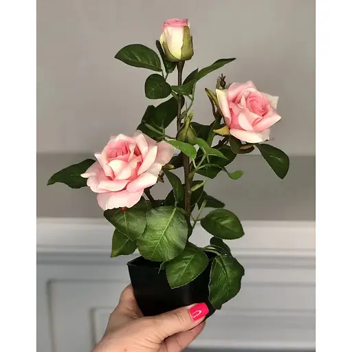 Троянда штучна Hvoya кущ в горщику 29 см рожева - фото 3