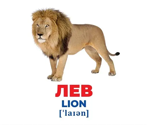 Тварини різних широт. Геній з пелюшок - фото 2