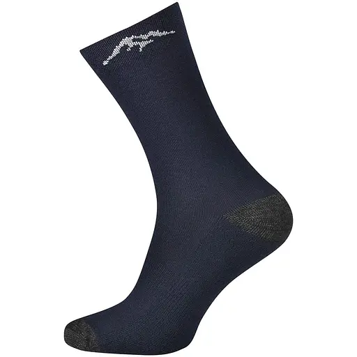 Шкарпетки Fjord Nansen Autumn Kevlar Total 35-38 Eclipse Blue (1046-fn_38451)