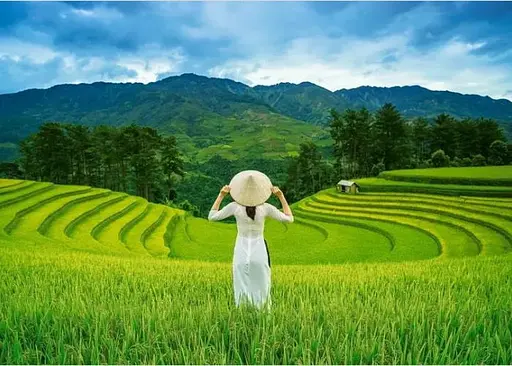 Пазл Castorland puzzle Рисовые поля во Вьетнаме, 1000 эл. (C-105052) - фото 2