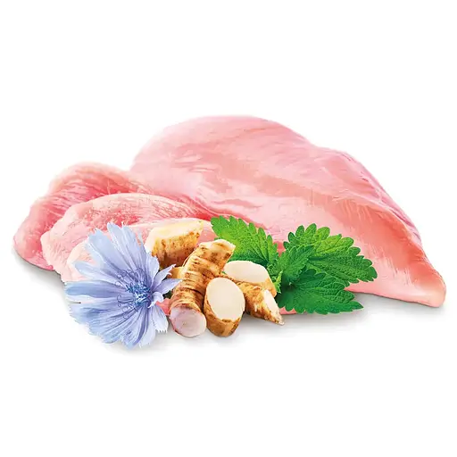 Уценка. Сухой корм для котят Home Food Fresh с курицей 1.6 кг - фото 3