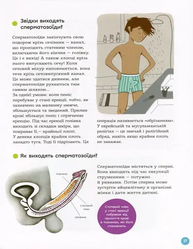 Енциклопедія статевого життя. 10-13 років - фото 9