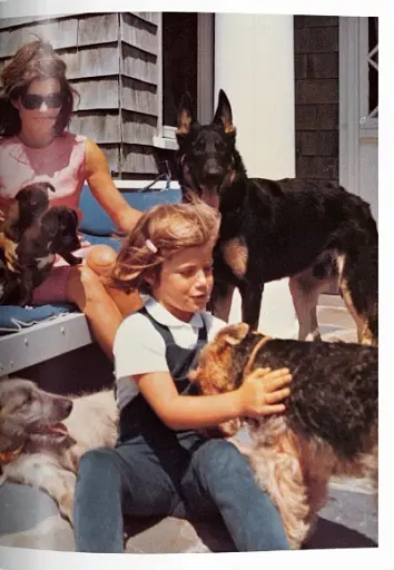 The Dog in Photography. 1839-Today - фото 5