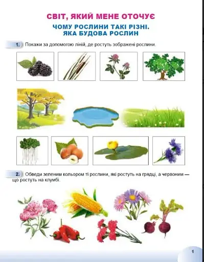 Я досліджую світ 1 клас. Робочий зошит з інтегрованого курсу. Частина 2 - фото 2