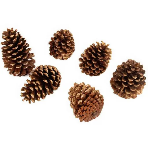 Набор декоративных шишек Lefard 6 шт (801-578)