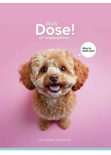 Комплект 4 шт загальних зошитів. Зошит Школярик А5 80 арк. у клітинку 5253 4823088249125 - фото 5