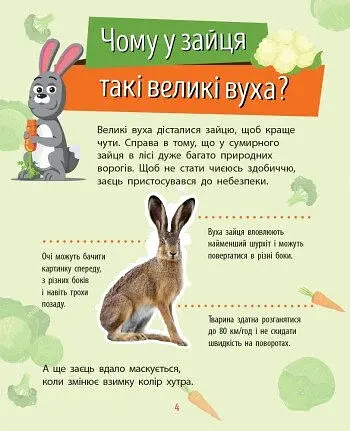 Чомусики. Тварини - фото 4